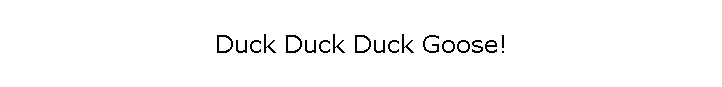 Duck Duck Duck Goose!
